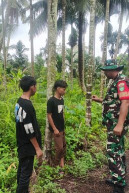 Babinsa Koramil Kateman Patroli Tapal Batas di Air Tawar, Pastikan Wilayah Aman dari Karhutla