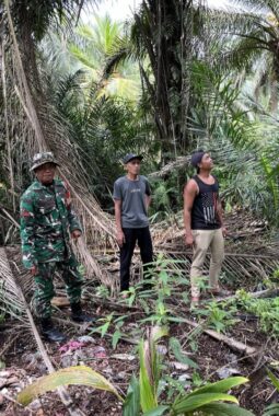 Babinsa Koramil 06/KTM Patroli Tapal Batas, Pastikan Wilayah Teluk Belengkong Bebas Titik Api