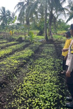 Bhabinkamtibmas Tagaraja Aktif Dampingi Petani Sayur, Wujud Nyata Dukungan Ketahanan Pangan di Kateman