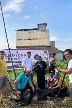 Polsek Kateman Tebar Semangat Berbagi, Dua Ekor Sapi Kurban Disalurkan untuk Warga