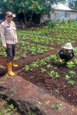 Bhabinkamtibmas Sambangi Pekarangan Warga, Perkuat Ketahanan Pangan Nasional di Teluk Belengkong
