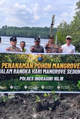 Polsek Teluk Belengkong Tanam 50 Bibit Mangrove Peringati Hari Mangrove Sedunia 2026, Wujud Nyata Jaga Pesisir Inhil